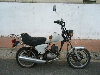 SUZUKI/XYL  }^50i6Vj OR50-1265