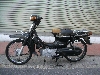 SUZUKI/XYL  o[fBRC50(12V)/Birdie  BA13A-1091