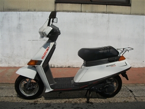 SUZUKI/XYL  V[g/SHOOT50(84') CA14B-1279