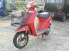 HONDA EVE PAX50/CupbNX AF14-1123