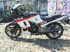 HONDA/z_ VT250F MC08-1140