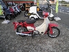 HONDA/z_ gJu50/little CUB C50-4518