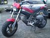 SUZUKI  STREET MAGIC 50 /Xg[g}WbN50  CA1LB-1002