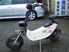 HONDA  ZOOK 50/Y[N50  AF26-1021