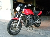 HONDA/z_ CB400SF(12V)Kԁi93Nj@NC31-1101