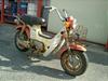 HONDA CHALY50/V[ CF50-9351