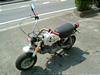 HONDA MONKEY50/L[ Z50J-1007