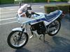 HONDA CBX250S  MC12-1004