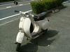 PIAGGIO VESPA50S/xXp50S  V50SA1T1509