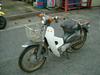 HONDA CUB70/Ju70  C70-3036