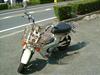 HONDA  CHALY50(6V) /V[50(6V)   CF50-2768