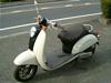 HONDA  SCOOPY 50 /XN[s[ 50  AF55-1017