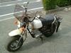 HONDA  R&P 50  CY50-1273