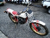 YAMAHA/}n TY250@53Y-0029