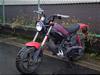 SUZUKI  STREET MAGIC 50/Xg[g}WbN50   CA1LB-1095