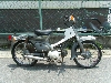 HONDA/z_ X[p[Ju50i6V)/CUB@C50-6098