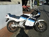 SUZUKI/XYL RG250K}@GJ21A-1039