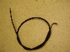 `Cm/ choinori  `[NC[ CZ41A-1225
