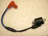 XJbV50/ SQUASH  COjbVvOR[h AB11-1062 (12V)