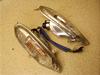 OhfBNX125/ G-DINK/ LR/ KYMCO    AECJ[E RFBSH25DC