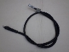 XJC50/ SKY   Xs[hC[ AB14-1607