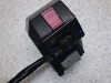 }WFXeB250/ MAJESTY  nhXCb`E 4HC-0498