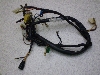 |bvM(6V)/ POPGAL  Cn[lX 17J-1502
