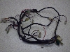 `v50/ CHAMP  Cn[lX 54V-3066