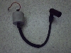 `v50/ CHAMP  COjbVvOR[h 54V-3066