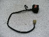 [rX250/ XELVIS250 nhXCb`E MC25-1001