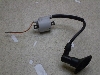 `v50/ CHAMP  COjbVvOR[h 54V-6188