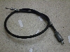 `Cm/ choinori  [^[C[ CZ41A-1734