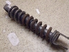 XJbV50/ SQUASH  ATXyV AB11-1039