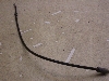 `Cm/ choinori  [^[C[ CZ41A-1563