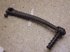 `Cm/ choinori  LbNy_ CZ41A-1181