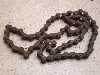 `Cm/ choinori  `F[ CZ41A-1786