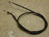 `Cm/ choinori  ANZC[ CZ41A-1786
