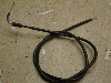 `Cm/ choinori  `[NC[ CZ41A-1786