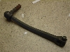 `Cm/ choinori  LbNy_ CZ41A-1689