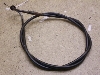 `Cm/ choinori  ANZC[ CZ41A-1689