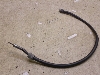 S50(12V)/ GORILLA    [^[C[ Z50J-1804