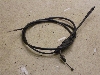 CufBI/ Live Dio50(12V) ANZC[ AF34-1229