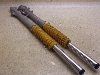 Z[225/ SEROW225 tgtH[NE 1KH-0160