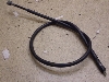 CufBI/ Live Dio50(12V) [^[C[ AF34-1311