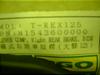 T-REX125/ PGO  u[Lo[E 0617