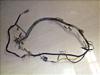 gC50(6V)/ TRAIL/ TY50 Cn[lX 354-5021