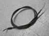 `Cm/ choinori  ANZC[ CZ41A-1501