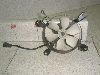 G~l[^[250/ ELIMINATOR WG^[pt@ EL250A-0012