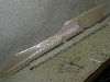 }NU250/ MAXAM TChJo[ SG17J-1623
