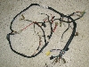 `v50/ CHAMP  Cn[lX 54V-6392
